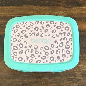 Bentgo lunch box